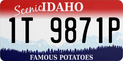 ID license plate 1T9871P