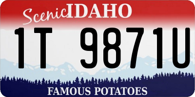 ID license plate 1T9871U