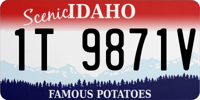 ID license plate 1T9871V