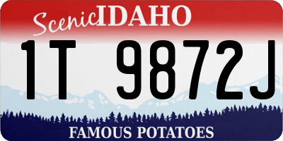 ID license plate 1T9872J
