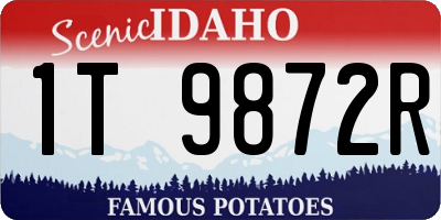 ID license plate 1T9872R