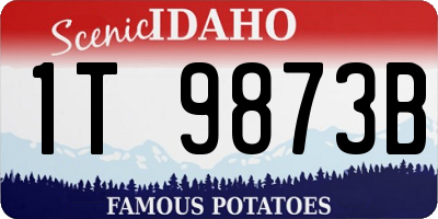 ID license plate 1T9873B
