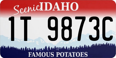 ID license plate 1T9873C