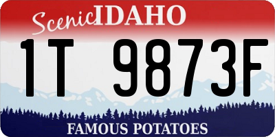 ID license plate 1T9873F