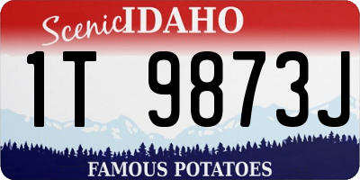ID license plate 1T9873J