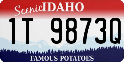 ID license plate 1T9873Q