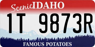 ID license plate 1T9873R