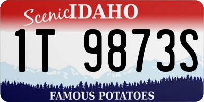 ID license plate 1T9873S