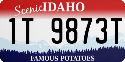 ID license plate 1T9873T