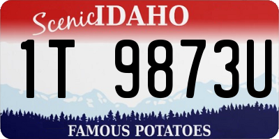 ID license plate 1T9873U
