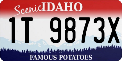 ID license plate 1T9873X