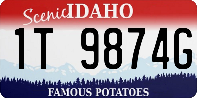 ID license plate 1T9874G