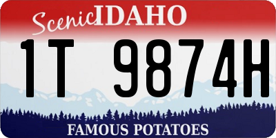 ID license plate 1T9874H