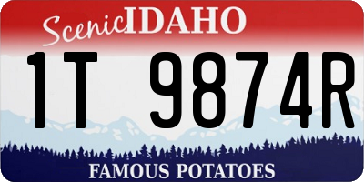 ID license plate 1T9874R