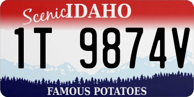 ID license plate 1T9874V