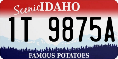 ID license plate 1T9875A