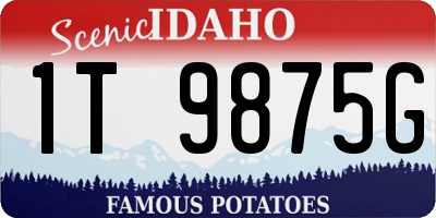 ID license plate 1T9875G