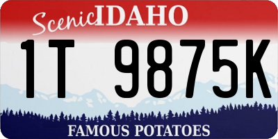 ID license plate 1T9875K