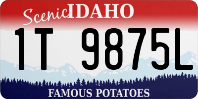 ID license plate 1T9875L