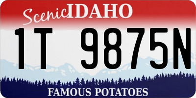 ID license plate 1T9875N