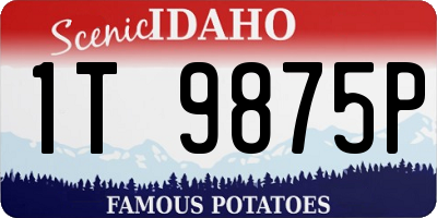 ID license plate 1T9875P