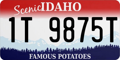 ID license plate 1T9875T