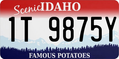 ID license plate 1T9875Y