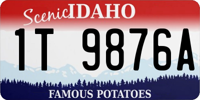 ID license plate 1T9876A
