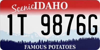 ID license plate 1T9876G