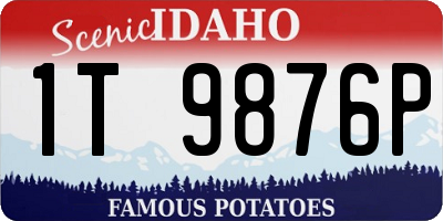 ID license plate 1T9876P