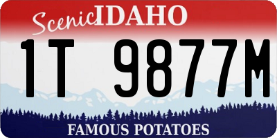 ID license plate 1T9877M