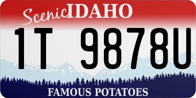 ID license plate 1T9878U