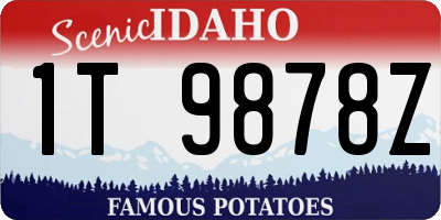 ID license plate 1T9878Z