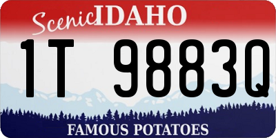 ID license plate 1T9883Q