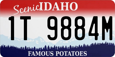 ID license plate 1T9884M