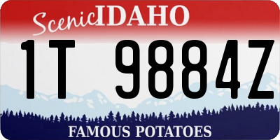 ID license plate 1T9884Z