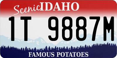 ID license plate 1T9887M