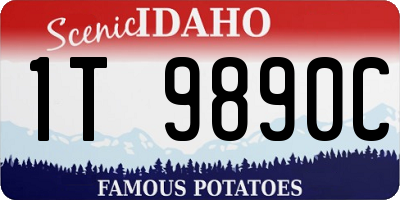 ID license plate 1T9890C