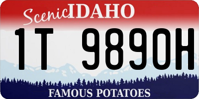 ID license plate 1T9890H