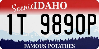 ID license plate 1T9890P