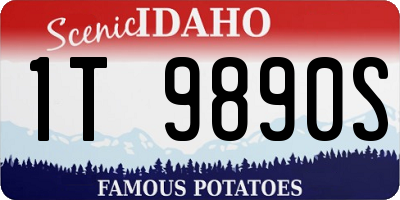 ID license plate 1T9890S