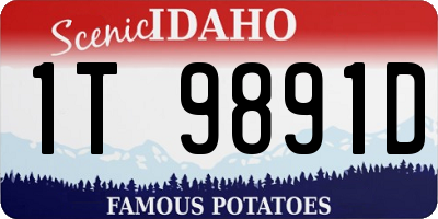 ID license plate 1T9891D
