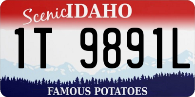 ID license plate 1T9891L