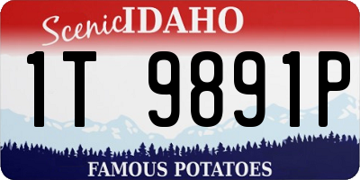 ID license plate 1T9891P