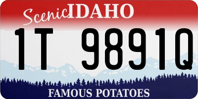 ID license plate 1T9891Q