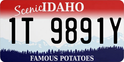 ID license plate 1T9891Y