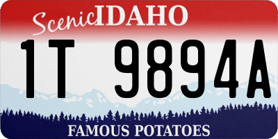 ID license plate 1T9894A