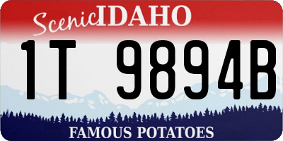 ID license plate 1T9894B