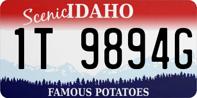 ID license plate 1T9894G