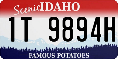 ID license plate 1T9894H